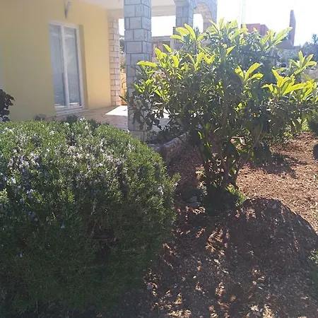 Apartment Antula *